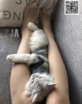 日韩极品美女视频_超清全集免费播放